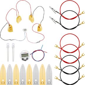 2 Sets Fruit Battery Science Experiment Kit Potato Clock Science Kit Orange Lemon Battery Physics Teaching Experiment with 2 Pieces Electronic Clock Educational Toy for Students