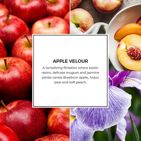 PartyLite Wax Melts (After Dark Apple Velour) in Saudi Arabia
