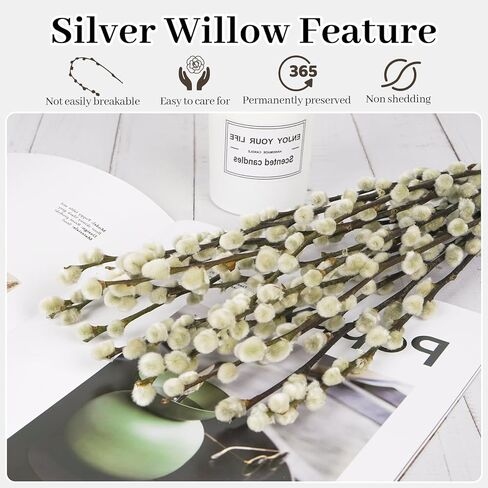 40 ينبع 17.5 بوصة 100% فروع الصفصاف المجففة الطبيعية الحقيقية للمزهرية الصفصاف الزهور المجففة الهرة للديكورات المنزلية، الزفاف in Kuwait