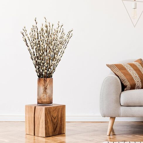 40 ينبع 17.5 بوصة 100% فروع الصفصاف المجففة الطبيعية الحقيقية للمزهرية الصفصاف الزهور المجففة الهرة للديكورات المنزلية، الزفاف in Kuwait