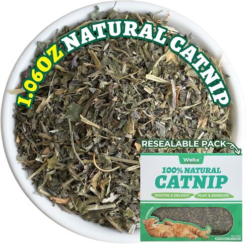 Wellix 3.53oz Fresh Catnip for Cats, Natural Dried Catnip Leaves, Flowers & Stems - Fresh Aroma, Used as Treats or Refillable Cat nip Toys, Non-addtictive, Safe for Indoor Kittens in Saudi Arabia