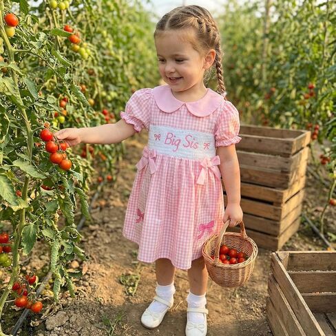 Big Sister Little Sister Matching Outfits Newborn Baby Girl Summer Smocked Romper Shirt Toddler Short Sleeve Dress in Saudi Arabia