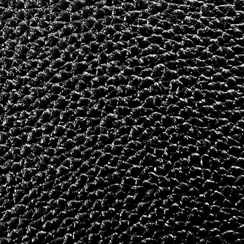 JapanHobbyTool Cowhide Camera Leather for Leica Type 4008 II, 215x265mm, Black in Kuwait