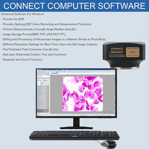 283X-7090X مجهر مختبر ثلاثي العينيات 25 مليون بكسل USB3.0 الكاميرا in Kuwait