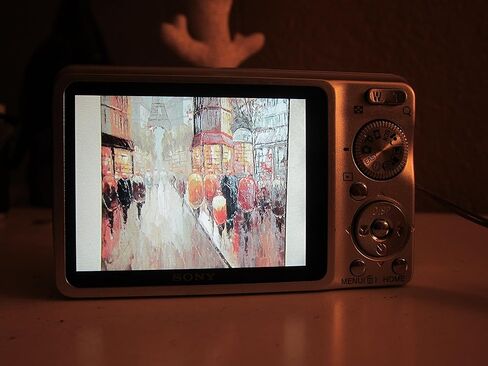 كاميرا سوني سايبر شوت DSC-W220 الرقمية بدقة 12.1 ميجابكسل مع تكبير بصري 4x مع تثبيت صورة ثابت للغاية (فضي) in Kuwait