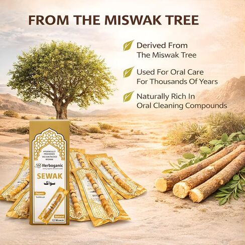 HERBOGANIC Sewak Natural Miswak Traditional Toothbruh 12 Pack No Flavor All Natural for Oral Health, Hygiene, Fresh Breath, Whiter Teeth, Chemical Free, Light Weight, Vacuum Sealed in Saudi Arabia