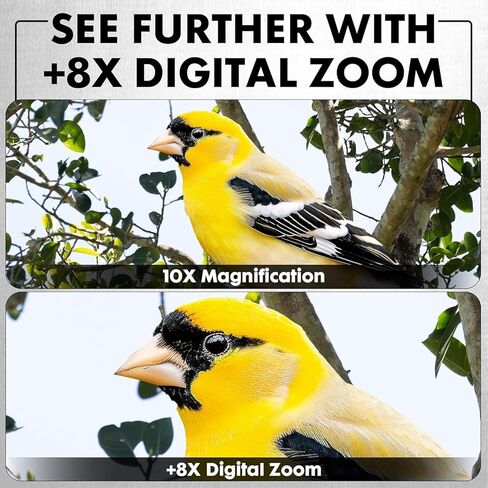 كاميرا Minolta MNDM10B 10x25 أحادية الرؤية الليلية بدقة 4K بدقة 48 ميجابكسل (رمادي) مع مجموعة تنظيف + شاحن حائط USB in Kuwait