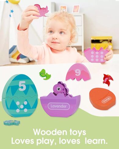 Toddlers Learning Toys Wooden Number Counting Montessori Educational Toys Matching Eggs Dinosaur Toys Sorting Fine Motor Games Christmas Birthday Easter Gift for Kids Boys Girls Ages 3+ in Kuwait