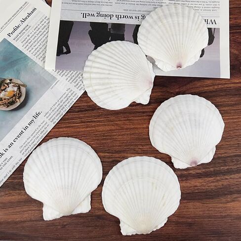10PCS Large Scallop Shells for Crafts 4"-5" Natural White Shells with Rope,20PCS Decoupage Paper Napkins,Brushes,Gold & Silver Paint,Gold Bead & Pearl for Beach Seashells DIY Hanging Home Party Decor in Saudi Arabia