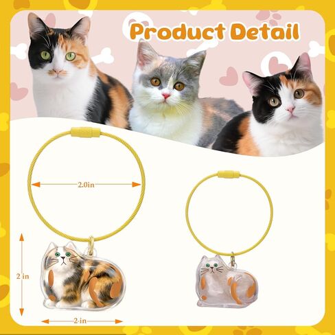 BABORUI Pet Hair Keychain, Transparent Pets Fur Keepsake Keychain for Cherish Love Memory, Pets Memorial Gifts for Pet Lovers in Saudi Arabia