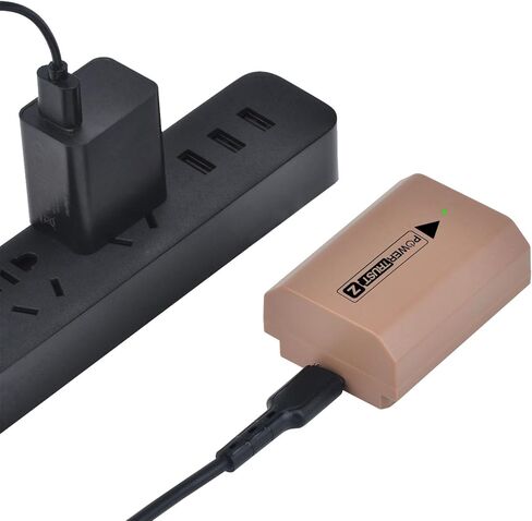 NP-FZ100 Battery 2600mAh Compatible with Sony A1, A9, A9 II, A7R III, A7R IV, A7R V, A7S III, A7 III, A7 IV, A6600, A7C Cameras with USB-C Charging Cable in Kuwait