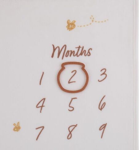 NoJo Disney Classic Winnie The Pooh Milestone Baby Blanket, Ivory and Taupe, 40 x 50 Inch, Monthly Photo Prop with Character Design (Officially Licensed Product) in Kuwait