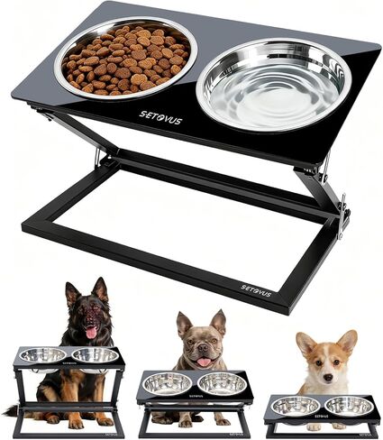 Elevated Dog Bowls, Adjustable Raised Dog Bowl Stand with 2 Stainless Steel Food Bowls 20°Tilted Water Bowls for Small Sized Dogs and Cats (Black, Small) in Saudi Arabia