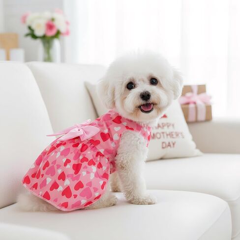 choyaxo Valentine Dog Dress Cute Dog Skirt Dogs Valentine Outfit Summer Pet Clothes for Puppy Cats in Saudi Arabia