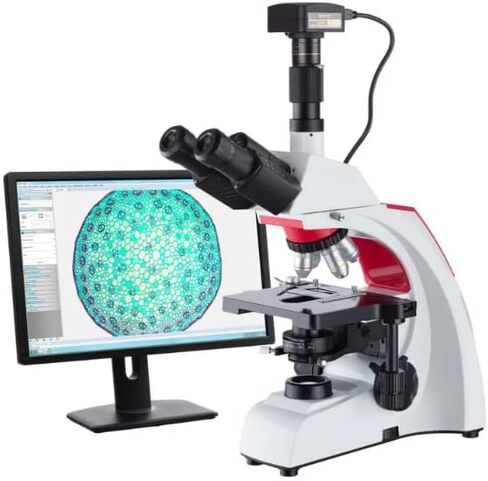 AmScope 40X-1000X مجهر مركب بيولوجي للطلاب والمهنية مع منفذ ثلاثي العينيات للكاميرات الرقمية - إضاءة LED قابلة للتعديل، مرحلة ميكانيكية، تركيز خشن ودقيق - T430 in Kuwait