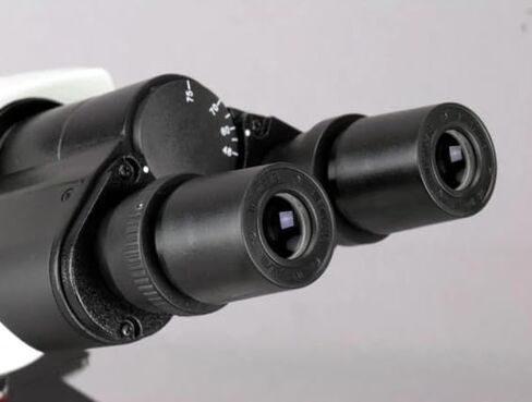 مجهر مركب ثنائي العينين من سلسلة AmScope B340 Siedentopf - تكبير 40X-1000X، LED 3 وات، مرحلة ميكانيكية ثلاثية الأبعاد، بصريات لونية، تركيز محوري، درجة مختبر للمحترفين والطلاب in Kuwait
