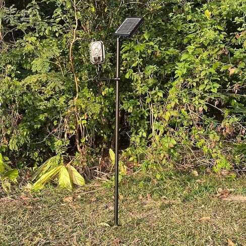 Heavy Duty Trail Camera Mount with Tripod Ground Stake | Includes Height-Adjustable Side Mount for Dual Camera or Solar Panel Setup | Max Height 57" | Universal 1/4"-20 Screw (57" Brown x 2) in Kuwait