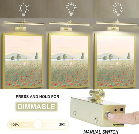 Yuichoy 2 Pack Picture Light Battery Operated for Wall, 16" Wireless Display Art Lighting for Painting with Remote, Dimmable 5200mAh Picture Frame Lights for Gallery, Antique Brass in Saudi Arabia