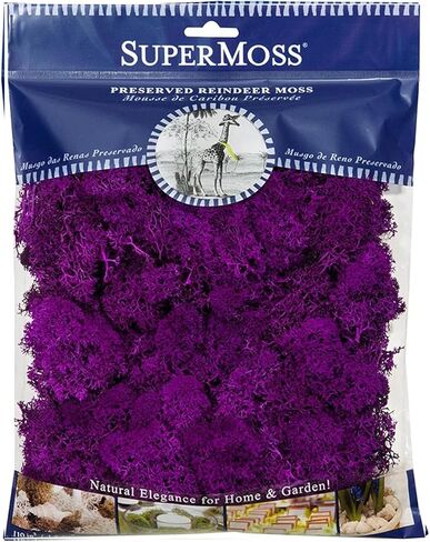 تم الحفاظ على Supermoss Rindeer طحالب زخرفية طويلة الأمد للنباتات المحفوظة بوعاء ديكور الأزهار والمزارعين الداخليين ، Apple in Saudi Arabia