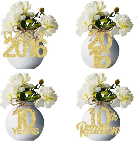 24pcs 10th Class Reunion Tags Blue 2015 Reunion Tags Decorations Class of 2015 Reunion Decorations 10th High School Class Decorations for High School 10 Year Reunion Decorations in Saudi Arabia