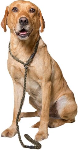 Dog & Field Deluxe Gundog Slip Leash - Natural Brown. Soft Spliced Marine Rope Slip Leash for Dogs with Rubber Stopper, Easy to Slip On, No Collar Or Harness Needed. Training Lead for Dogs, One Size in Saudi Arabia