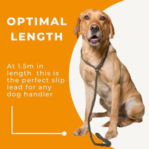 Dog & Field Deluxe Gundog Slip Leash - Natural Brown. Soft Spliced Marine Rope Slip Leash for Dogs with Rubber Stopper, Easy to Slip On, No Collar Or Harness Needed. Training Lead for Dogs, One Size in Saudi Arabia