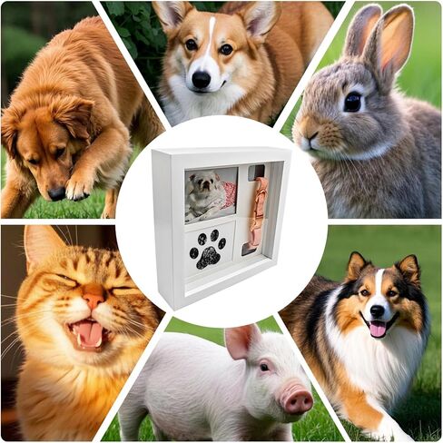 Pet Memorial Picture Frame, Pet Paw Print Impression Kit, Remembrance for Dogs & Cats-Shadow Box with Collar-Loss of Dog Bereavement Gift, 2 Customizable Displays, 9x9 Memorial Gift for Pet (Black) in Saudi Arabia