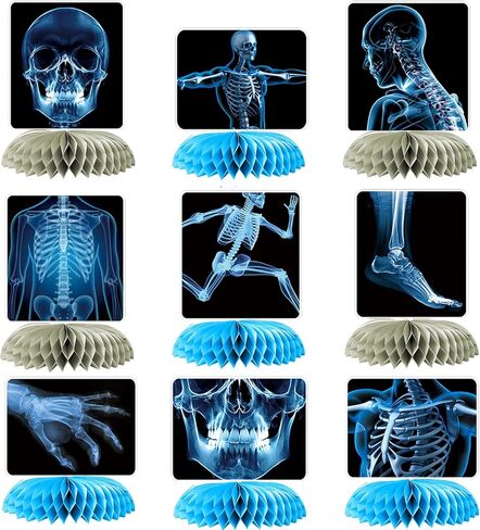 9 Pcs X-Ray Honeycomb Centerpieces, 3D Skeleton and Human Anatomy Tissue Paper Table Decorations with Skull, Hand, Spine, and More for Science Doctor Graduation, Clinic and Medical Party Supplies in Saudi Arabia