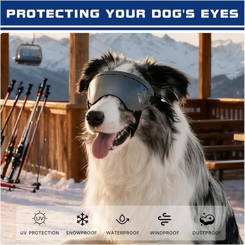 Dog Goggles UV400 Protection,Ski Goggles for Large Breeds with Adjustable Strap, Dog Sunglasses with Comfort-Focused Frameless Design - UV-Resistant/Windproof/Snowproof for Running,Cycling (Blue) in Saudi Arabia