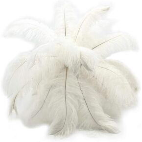 Moonlight Feather | 10 Pieces - 19-24" Off White Ostrich Dyed Drabs Body Feathers SFP Wedding Party Gatsby Centerpiece Supplier