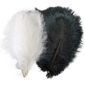 MARRTEUM 8-10 Inch Natural Ostrich Feathers for Party, Wedding, Masquerade and Home Decorations(10 PCS Black and 10PCS White)