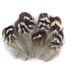 ALL in ONE Natural Feather for DIY Craft (Brown Chicken Feathers)