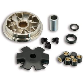 Malossi Performance Variator Multivar for Honda Ruckus, Metropolitan, Dio Clean 4 You, Zoomer 50cc 5111852