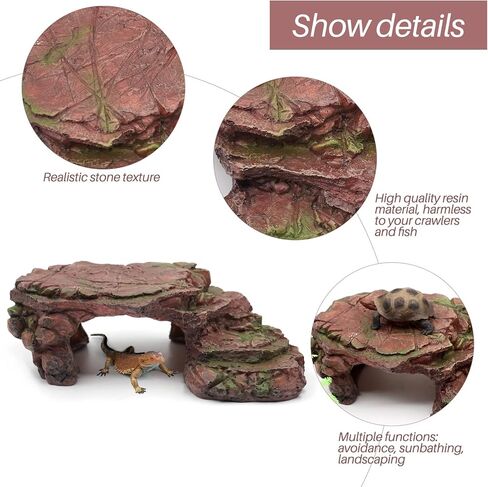 الزواحف الصخر الزيتي سكيب خطوة الحافة سلالم السلاحف الفرح منصات إخفاء كهف صخرة كبيرة لحوض السمك التنين الملتحي الحرباء السلحفاة السحالي البرمائيات بيتا الراتنج 9.5in (بني مشرق) in Kuwait