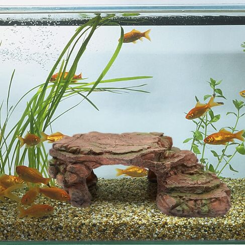 الزواحف الصخر الزيتي سكيب خطوة الحافة سلالم السلاحف الفرح منصات إخفاء كهف صخرة كبيرة لحوض السمك التنين الملتحي الحرباء السلحفاة السحالي البرمائيات بيتا الراتنج 9.5in (بني مشرق) in Kuwait