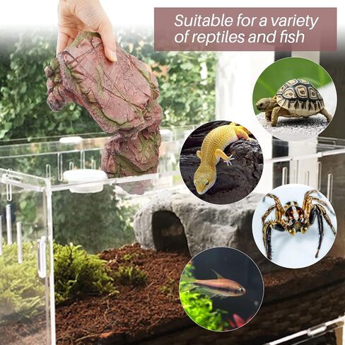 الزواحف الصخر الزيتي سكيب خطوة الحافة سلالم السلاحف الفرح منصات إخفاء كهف صخرة كبيرة لحوض السمك التنين الملتحي الحرباء السلحفاة السحالي البرمائيات بيتا الراتنج 9.5in (بني مشرق) in Kuwait