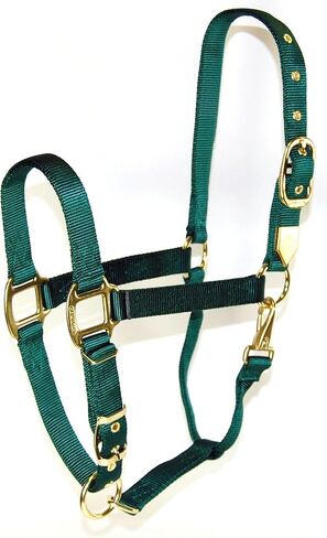 Hamilton 1-Inch Nylon Halter with Adjustable Chin, Dark Green - Yearling Size in Saudi Arabia
