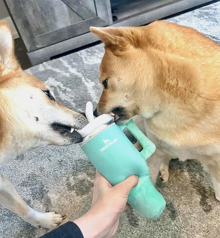 Nestpark Tumbler Cup Funny Dog Toy - Parody Plush Squeaky Crinkle Dog Toy (Mint Green) in Saudi Arabia