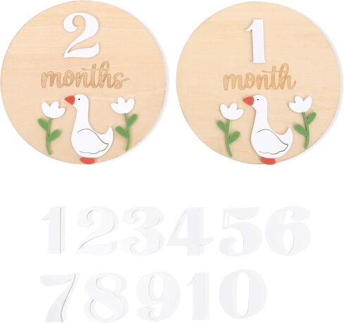 لوحة خشبية من Goose Monthly Milestone - زخرفة شهرية من الخشب One Funny Goose للسنة الأولى، علامة بارزة لحضانة الأطفال، سجل حديثي الولادة من 1 إلى 12 شهرًا للأولاد والبنات in Kuwait