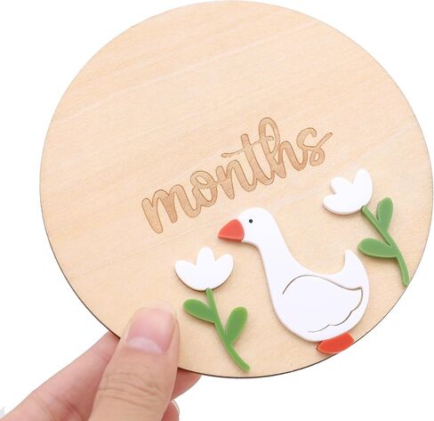 لوحة خشبية من Goose Monthly Milestone - زخرفة شهرية من الخشب One Funny Goose للسنة الأولى، علامة بارزة لحضانة الأطفال، سجل حديثي الولادة من 1 إلى 12 شهرًا للأولاد والبنات in Kuwait