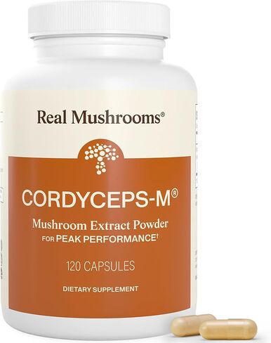 كبسولات Cordyceleces الحقيقية - مكملات مستخلص الفطر الأداء مع Militaris العضوي لمكمل نباتي دعم مناعي للطاقة ، غير المعدلة وراثيا ، 120 كبسولة in Saudi Arabia