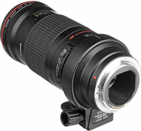 عدسة كانون EF 180 ملم f/3.5L ماكرو USM | ماكرو تليفوتوغرافي احترافي من السلسلة L مع تكبير 1:1 وبصريات متقدمة والتركيز البؤري التلقائي USM من النوع الدائري | للصور القريبة والصور الطبيعية (2539A007) + مجموعة الفلاتر + المزيد in Kuwait