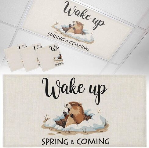 Cartoon Groundhog Fluorescent Light Covers, 4x2 Feet Magnetic Light Filters for Classroom Office, 4 Pcs Wake Up Spring is Coming Country Shades Covers for Ceiling Lights Drop Home Decor in Saudi Arabia