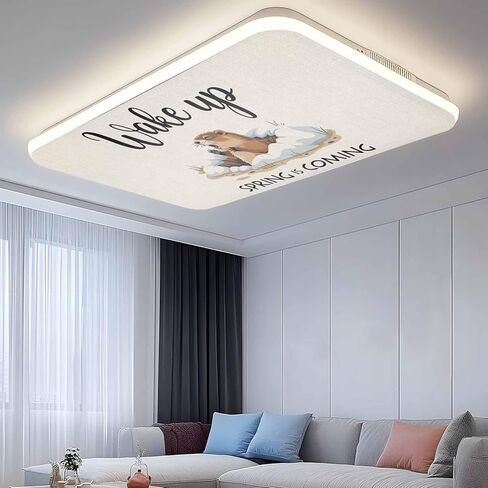 Cartoon Groundhog Fluorescent Light Covers, 4x2 Feet Magnetic Light Filters for Classroom Office, 4 Pcs Wake Up Spring is Coming Country Shades Covers for Ceiling Lights Drop Home Decor in Saudi Arabia