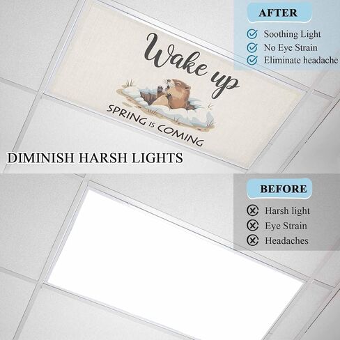 Cartoon Groundhog Fluorescent Light Covers, 4x2 Feet Magnetic Light Filters for Classroom Office, 4 Pcs Wake Up Spring is Coming Country Shades Covers for Ceiling Lights Drop Home Decor in Saudi Arabia