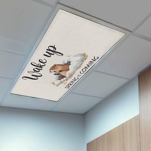 Cartoon Groundhog Fluorescent Light Covers, 4x2 Feet Magnetic Light Filters for Classroom Office, 4 Pcs Wake Up Spring is Coming Country Shades Covers for Ceiling Lights Drop Home Decor in Saudi Arabia