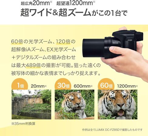 كاميرا باناسونيك لوميكس FZ80D/FZ85D المدمجة مع عدسة تكبير 20-1200 مم، كاميرا رقمية للتوجيه والتقاط مع تسجيل فيديو/صور بدقة 4K ومثبت الصورة البصري للطاقة (أسود) in Kuwait