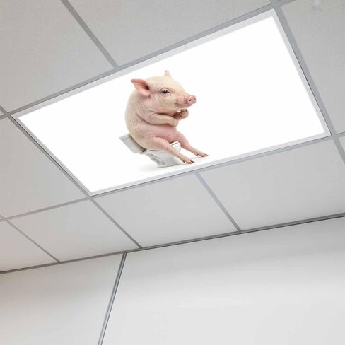 Funny Pig Fluorescent Light Covers for Ceiling Lights 4x2 feet,2 Pack Magnetic Light Filters for Classroom,Cute Art Fun Lovely Animals on Toilets Fluorescent Lamp Shade Panel for Office School Drop in Saudi Arabia
