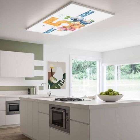 Happy 5rd Birthday Magnetic Fluorescent Light Covers for Ceiling Lights 2x4 Ft, Cartoon Cute Pink Yellow Blue Dinosaurs Floral Classroom Kitchen Drop Ceiling Light Covers Filters Shade Panel 1 Pack in Saudi Arabia