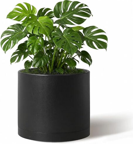 Giraffe Creation 6 inch Plant Pots, 5 Pack Flower Pots Outdoor Indoor, Planters with Drainage Hole and Tray Saucer in Saudi Arabia